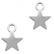 Stainless steel charms star Silver