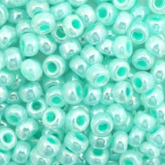 Miyuki seed beads 6/0 Ceylon Aqua Green 6-536