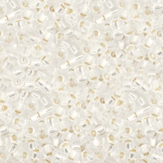 Miyuki seed beads 11/0 Silverlined Crystal 11-1