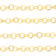Stainless Steel findings belcher chain Gold