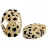 Natural stone beads Dalmatian Stone faceted oval Greige