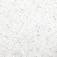 Miyuki beads delica's 11/0 Matte Crystal DB-741