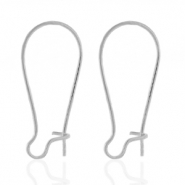 Stainless steel earrings Silver