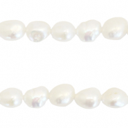 BQ Freshwater pearls nugget round 8-9mm Naturel White