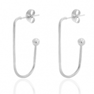 Stainless steel earrings Silver