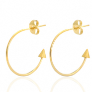 Stainless steel earrings creole Gold