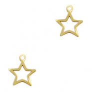 Stainless steel charms star Gold