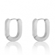 Stainless steel earrings oval Silver