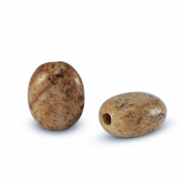 Natural stone beads Dalmatian Stone oval Acorn Brown