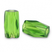 Top faceted beads tube Jasmine Green