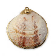Shell pendants specials Scallop Mixed Brown-Gold