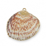 Shell pendants specials Scallop Copper Brown-Gold