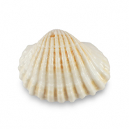 Shell pendants specials Scallop Creamy White