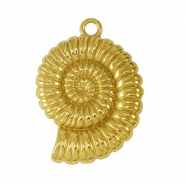 Stainless steel charms sea shell Gold