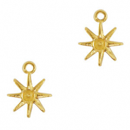 Stainless steel charms star Gold
