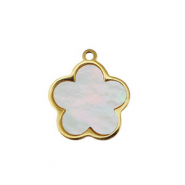 Stainless steel charm shell flower Gold-White (natural colour)