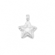 Stainless steel charms star Silver