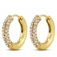 Stainless steel earrings / creoles Gold