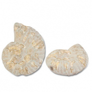 DQ greek ceramic beads shell White-Light Brown-Gold