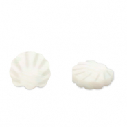 Shell beads scallop White (natural colour)