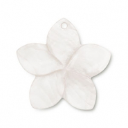 Shell charm flower White