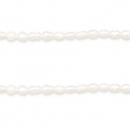 BQ Freshwater pearls rice 6x4mm Natural White