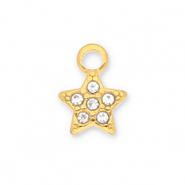 Stainless steel charms star with strass Gold-Transparent