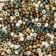 Miyuki seed beads 8/0 Cosy Weather