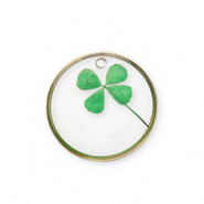 Charms with dried flowers Gold-Green