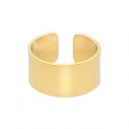 Stainless steel rings Gold