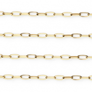Stainless steel necklaces chain link Gold