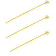 BY31® Stainless steel findings headpins with ball 35mm Gold