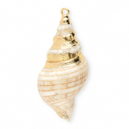 Shell pendants specials whelk Beige-Gold