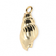 Shell pendants specials whelk Gold