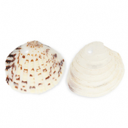 Shell pendants specials cockles Off White-Brown