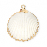 Shell pendants specials cockles White-Gold