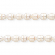 TQ Freshwater pearls rice 7x6mm Natural White