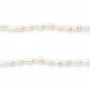 TQ Freshwater pearls rice 5x4mm Natural White
