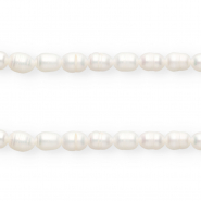 Imperfect freshwater pearls rice 7x6mm Natural White