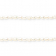 Imperfect freshwater pearls rice Natural White