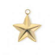 Stainless steel charms star Gold
