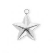 Stainless steel charms star Silver