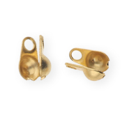 Stainless steel findings calottes 2mm Gold