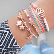 Inspirational Sets Colourful with DQ European metal and nylon S-Lon  thread