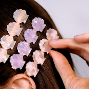 NEW New summer hair clips and hair clamps