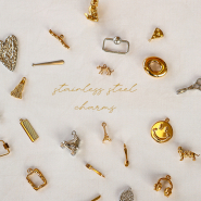 NEW New stainless steel charm collection