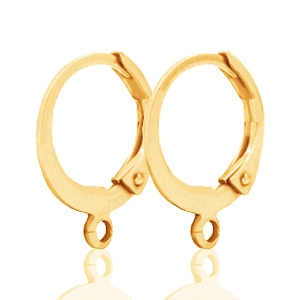 DQ metal earrings 12mm Gold 