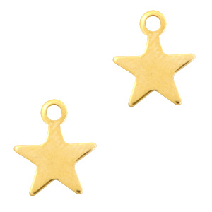 Stainless steel charms star Gold