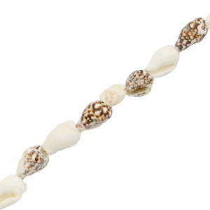 Shell beads Whelks Mixed Brown-White