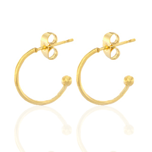 Stainless steel earrings creole Gold